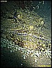IMG_3246.JPG