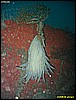 IMG_3251.JPG