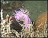 IMG_3256.JPG
