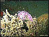 IMG_3257.JPG