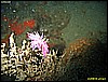 IMG_3258.JPG