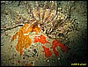 IMG_3259.JPG