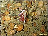 IMG_3261.JPG