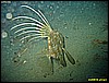 IMG_3269.JPG