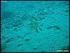 IMG_3270.JPG
