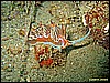 IMG_3278.JPG