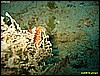 IMG_3279.JPG