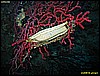 IMG_3582.JPG