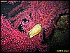 IMG_3584.JPG