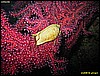 IMG_3586.JPG