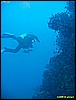IMG_3587.JPG