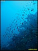 IMG_3593.JPG
