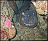 IMG_3599.JPG