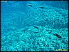 IMG_3605.JPG