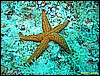 IMG_3607.JPG