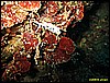 IMG_3617.JPG
