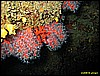 IMG_3622.JPG