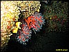IMG_3623.JPG
