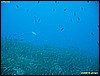 IMG_3625.JPG