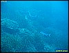 IMG_3631.JPG