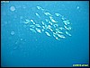 IMG_3632.JPG