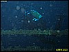 IMG_3646.JPG