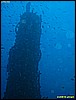 IMG_3649.JPG