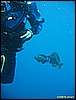 IMG_3680.JPG