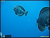 IMG_3683.JPG