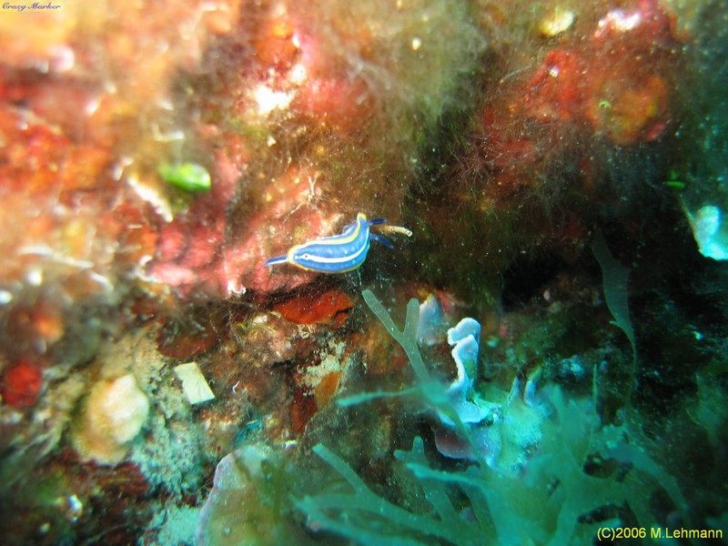 IMG_3850.JPG