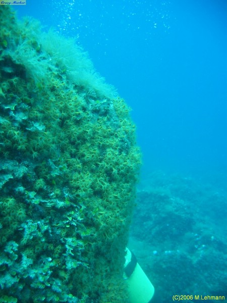 IMG_3874.JPG