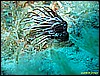 IMG_3819.JPG