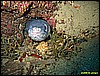 IMG_3821.JPG