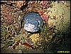 IMG_3822.JPG