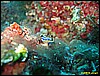 IMG_3840.JPG