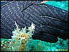IMG_3844.JPG