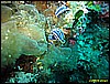 IMG_3861.JPG