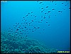 IMG_3862.JPG
