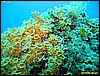 IMG_3870.JPG
