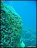 IMG_3874.JPG