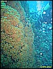 IMG_3876.JPG
