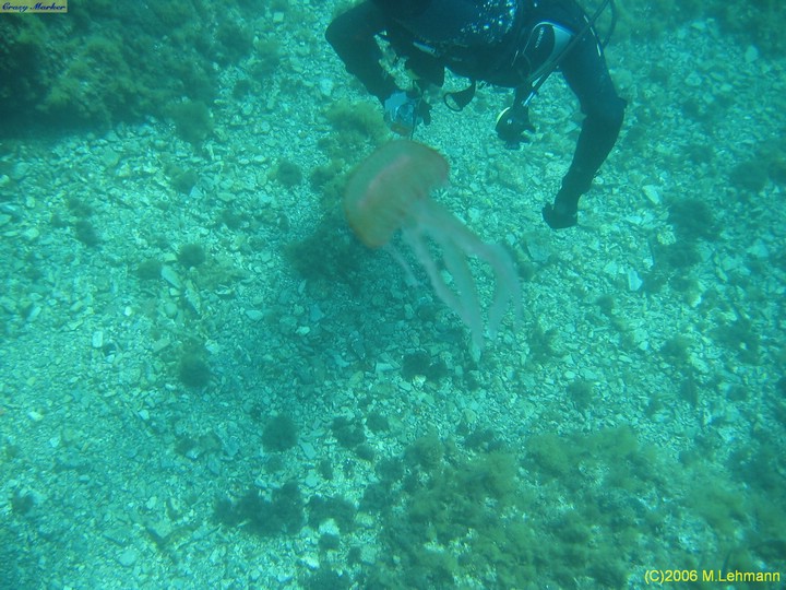 IMG_3889.JPG