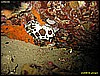 IMG_3896.JPG