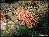 IMG_3898.JPG