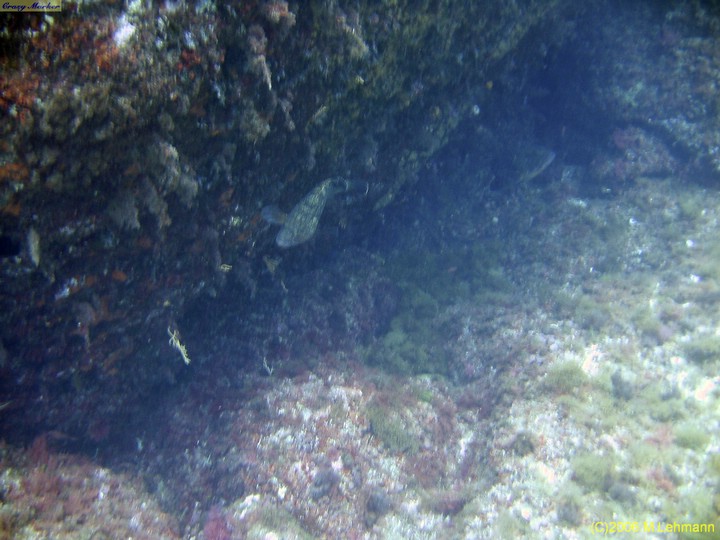 IMG_3965.JPG