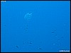 IMG_3927.JPG
