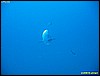 IMG_3931.JPG