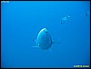 IMG_3932.JPG
