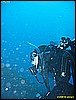 IMG_3936.JPG