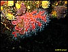 IMG_3938.JPG